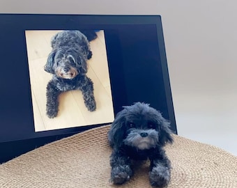 Aangepaste gehaakte hond aangepaste gevulde hond gehaakte huisdier gedenkteken, look alike hond, gepersonaliseerde hond, cadeau voor hondenliefhebbers, aangepaste knuffel