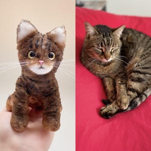 May include: A handcrafted brown tabby cat sculpture with large eyes and a pink nose. The cat is posed upright, displaying its detailed fur pattern. Beside it, a real tabby cat rests on a red surface.