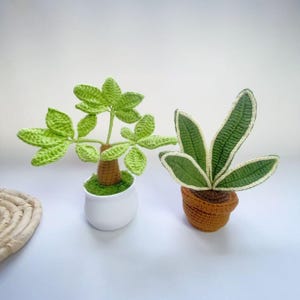 Handgjord virkad pengaträd/ormväxt, virkade garnfödelsedagspresenter, presenter till älskare av konstgjorda växter, dekorationer för gröna växter på skrivbordet