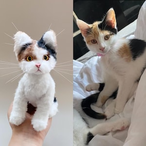 以下が含まれることがあります： ぬいぐるみの子猫と本物の三毛猫。 ぬいぐるみは白、茶色、黒の毛並みで、黄色い目と長いひげがあります。 子猫も同様の模様で、ピンクの首輪をしています。