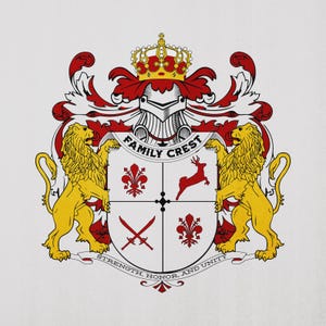 Custom Family Crest And Coat of Arms Logo Design | Heraldic Knight Shield & Royal Emblem Art