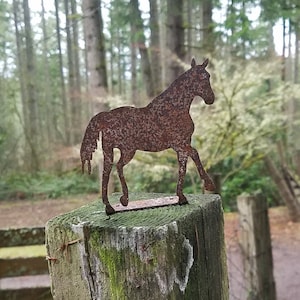 Horse Equine Rusted or Bare Steel post topper yard art stake garden gift Stable