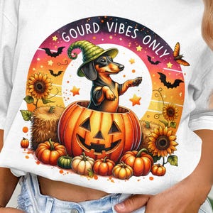Op de afbeelding: Wit T-shirt met een Halloween-ontwerp. Het toont een teckel met een heksenhoed in een uitgesneden pompoen, omringd door pompoenen, zonnebloemen en vleermuizen. De tekst op het shirt luidt "GOURD VIBES ONLY".
