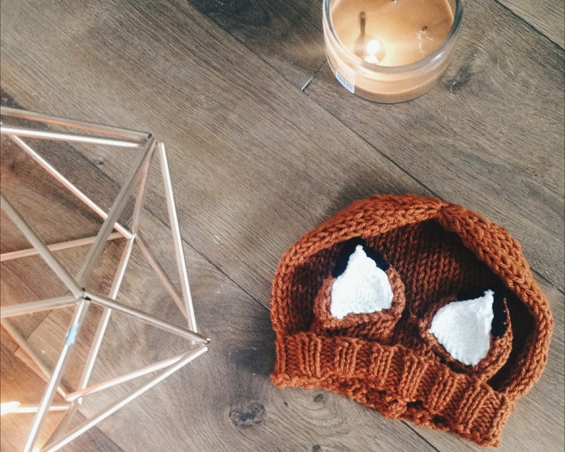 Fantastic Fox Ear Knit Hat image 5