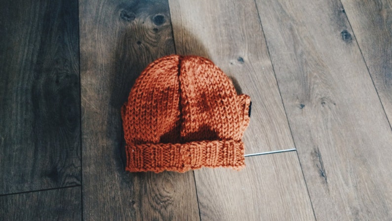 Fantastic Fox Ear Knit Hat image 6