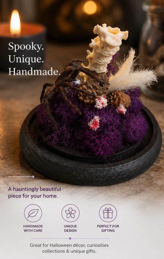 A preserved real spider enthroned on bones and purple moss inside a glass display — creepy, beautiful, and unmistakably one-of-a-kind.