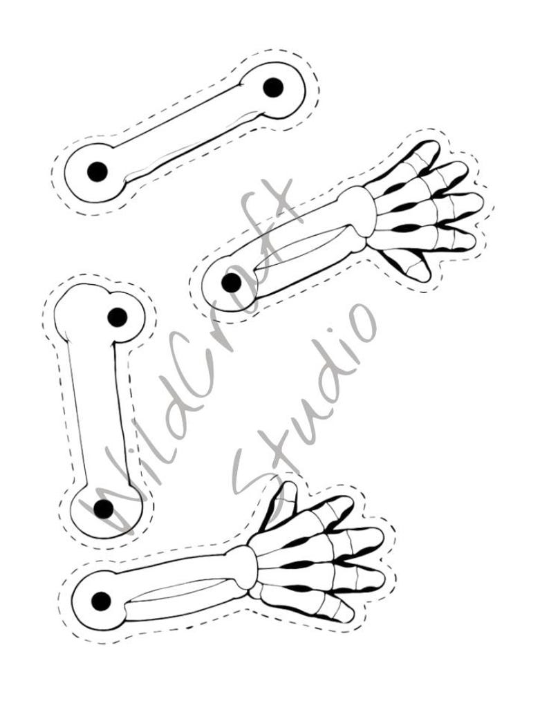 Large Build a Skeleton Cut & Color | Human Skeleton Craft | Halloween ...