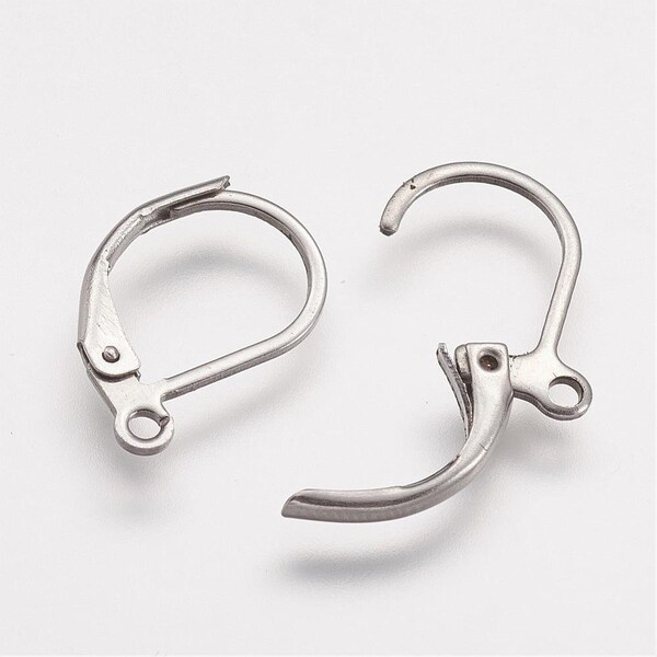 Stainless Steel Kidney Shaped Lever Back Earring Hooks, Earring Components, Silver Lever-back earwires, Earring DIY components