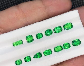 Natural Tsavorite Garnet Lot – Top Quality Green Tsavorite Loose Gemstones for Sale – 8.30 Ct