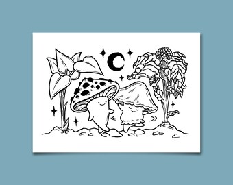 Midnight Stroll 5x7 Postcard Size Mushroom Print