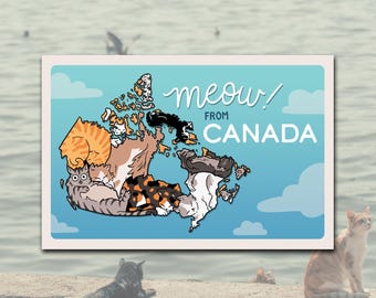 Canada Cats Postcard: 4x6, Ready to Mail