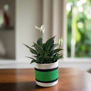 May include: A potted peace lily plant with dark green leaves and white flowers. The plant is in a cylindrical pot with a white top and bottom, and a green and black striped center. The pot sits on a wooden table.