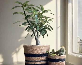 Hand-Braided Jute Planter Set: Black & Natural Basket Pots - Eco-Friendly