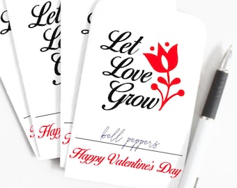 Printable Valentine's Day Seed Packages. Download and Print SVG Seed Packets, Florals to Colour, Seed Packets, Seed Saving, Galentine's Day