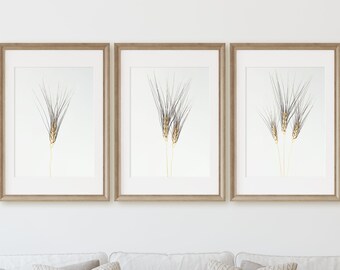 Set of 3 Natural Wheat Photo Printable. Black Tipped Ornamental Wheat Grown Here on the Farm. Modern Farmhouse Decor DIY Instant Download