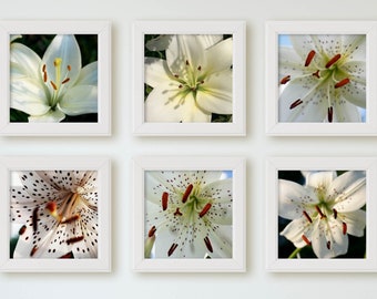 Set of 6 Lily Photo Printables. Beautiful White Lilies Grown Here on the Farm. Gallery Wall Modern Farmhouse Decor DIY Instant Download