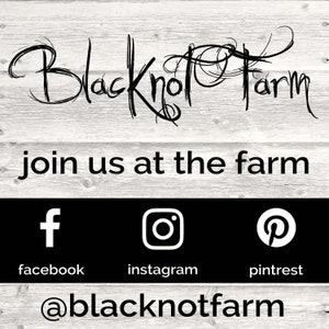 Pu&ograve; includere: Logo di Black Knot Farm su uno sfondo in legno rustico. Il testo "join us at the farm" &egrave; sotto il logo. Le icone dei social media per Facebook, Instagram e Pinterest sono sotto il testo. Il testo "@blacknottfarm" &egrave; nella parte inferiore dell'immagine.
