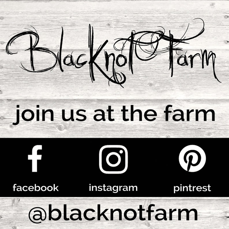 Pu&ograve; includere: Logo di Black Knot Farm su uno sfondo in legno rustico. Il testo "join us at the farm" &egrave; sotto il logo. Le icone dei social media per Facebook, Instagram e Pinterest sono sotto il testo. Il testo "@blacknottfarm" &egrave; nella parte inferiore dell'immagine.