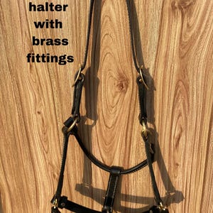 Leather Horse Halter – Adjustable, Handmade Tack with Brass Hardware