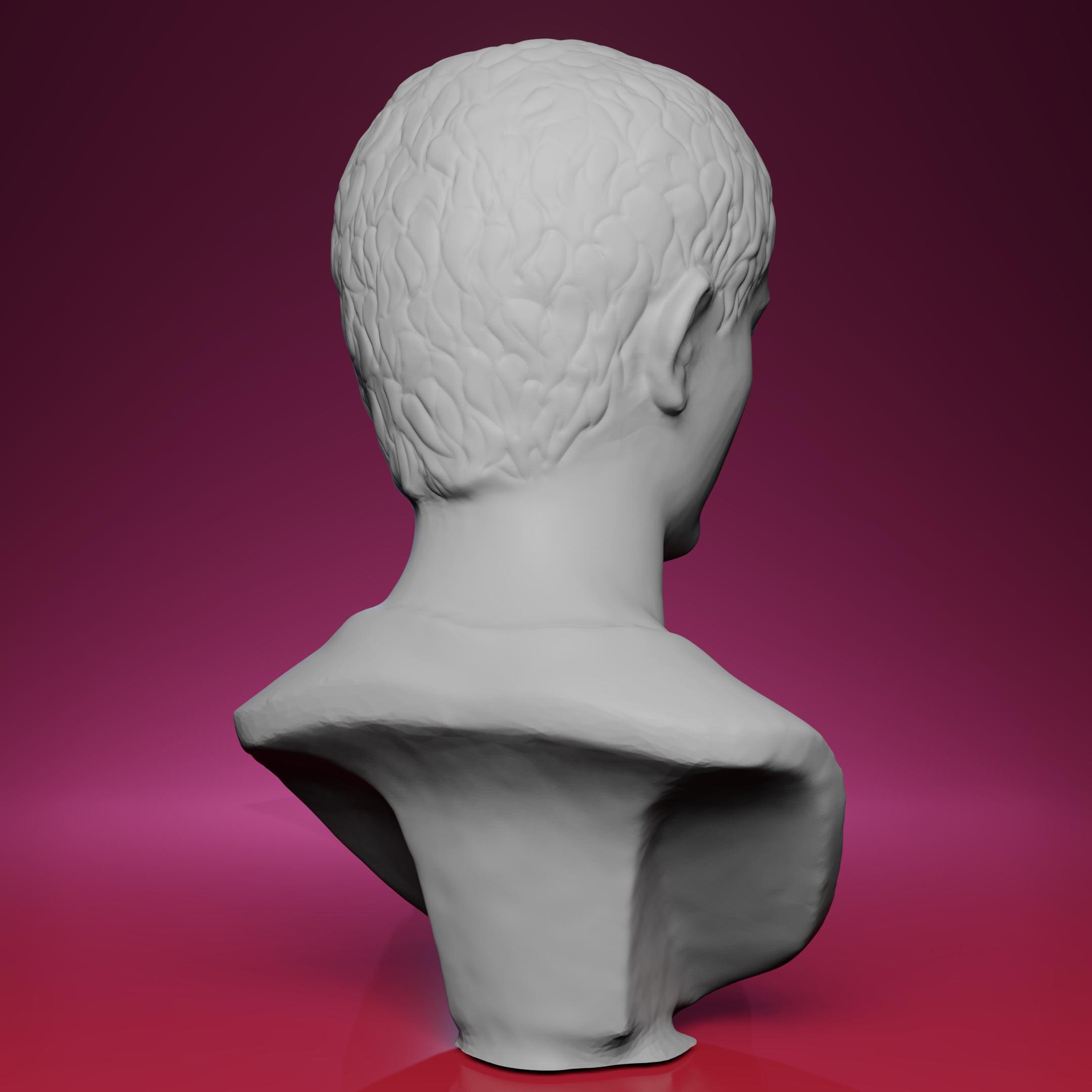 ミドルエイジ Tiberius 英語 1枚 middle ages 希少 3D Printed Emperor Tiberius Bust – Inspired by the British Museum