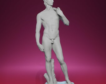 3D Printed David Statue – Inspired by Galleria dell'Accademia in Florence’s Renaissance Masterpiece