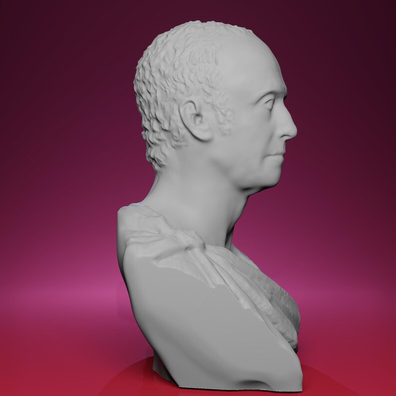 3D Printed General Sir David Baird Bust - Inspired by the Scottish ...