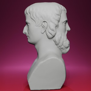 May include: A gray bust sculpture featuring two faces back-to-back. One face has short hair, and the other has a beard. The sculpture is set against a gradient pink background. The bust is a classical art piece.