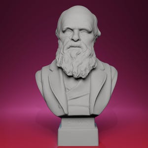 3D Printed Bust of Charles Darwin – Inspired by Sydney Memorial in Australia, Historical Science Sculpture, Scholar Home Decor