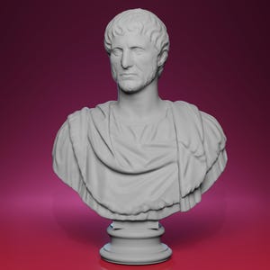 May include: A white bust of a man with short, curly hair and a beard. The sculpture depicts a Roman emperor, with a draped garment over the shoulders. The bust is mounted on a round, fluted pedestal, set against a dark pink background.