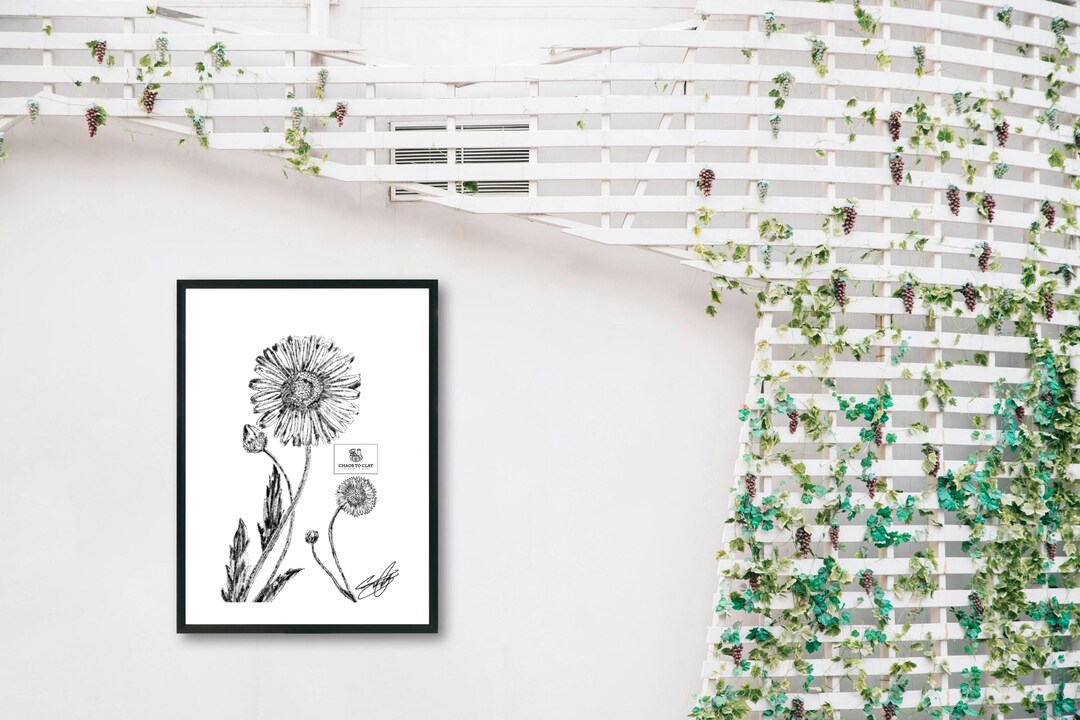Black and White Daisy Print: Hand-drawn Wildflower Line Art (digital ...