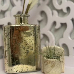 Minimalist Mini Wall-Hanging Ceramic Planter – Small White Speckled Pocket Vase | Chaos to Clay
