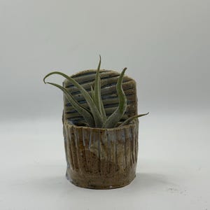 Mini Wall-Hanging Ceramic Planter – Rustic Textured Stoneware Pocket Vase | Chaos to Clay