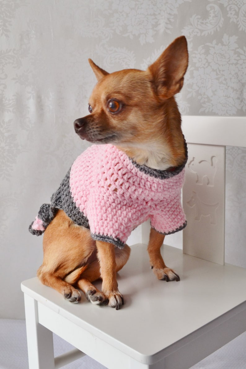 Crochet Dog Sweater, Dog Sweater With Bow, the Oxford Dog Sweater Etsy