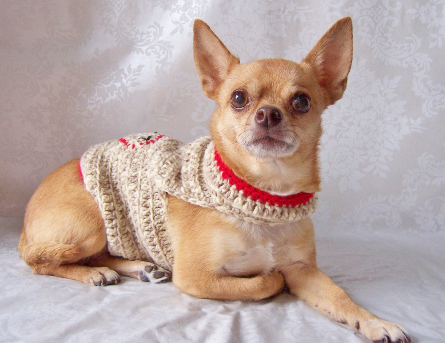 Crochet Dog Sweater, Sock Monkey Sweater, Sweater for Small Dogs Light With Cherry Red One Left