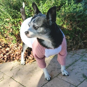 Dog Baseball Sweater, Raglan Dog Sweater, Knit Baseball Sweater for Dogs, You Choose Color