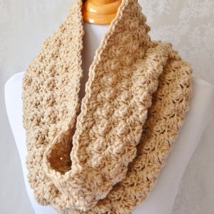 Crochet Cowl and Earwarmer image 2