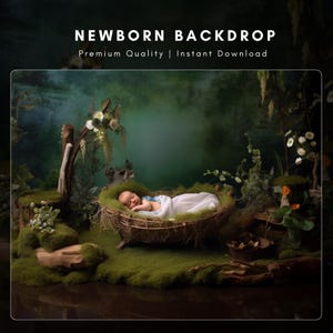 Woodland Newborn Digital Backdrop: Tree Hollow Cradle (Digital Download