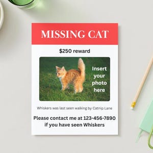 May include: A missing cat poster with a red header that reads "MISSING CAT". The poster includes a photo of an orange tabby cat, the text "Insert your photo here", and contact information. A $250 reward is offered.