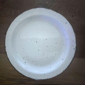 Op de afbeelding: Een witte keramische plaat met een gespikkeld ontwerp. De plaat heeft een licht versleten rand en een ondiepe komvorm. Het oppervlak is bezaaid met kleine zwarte spikkels, wat het een rustieke uitstraling geeft.