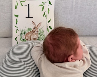 Set of 12 custom watercolor baby milestone cards. One per month.