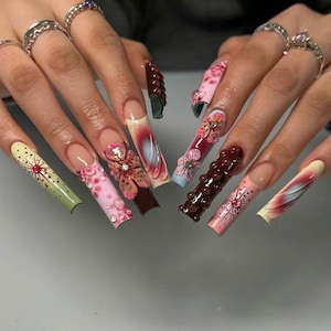 Könnte beinhalten: Nahaufnahme von langen, verzierten Fingernägeln. Die Nägel weisen verschiedene Designs auf, darunter Blumenmuster, 3D-Verzierungen und abstrakte Kunst. Zu den Farben gehören Rosa, Braun, Grün und Rot, mit glänzendem Finish.