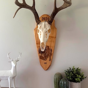 Laser Engraved Euro Mount Plaque for Deer Skull | Personalized European Mount Display | Custom Antler Wall Plaque | Hunting Trophy Decor