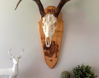 Laser Engraved Euro Mount Plaque: Custom Deer Skull Display - Etsy