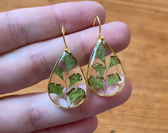 Drop shape stainless steel earrings with inclusion of maidenhair fern. Botanical jewellery. Real dried leaf. Pressed flowers. Gift for her