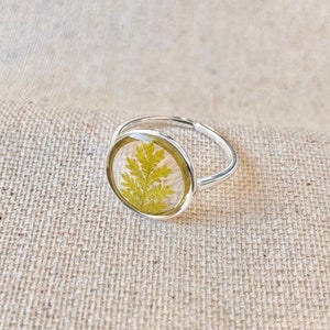 Bague minimaliste cercle en acier inoxydable argent, or, or rose.Inclusion mini feuille de fougère séchée. Bijou botanique