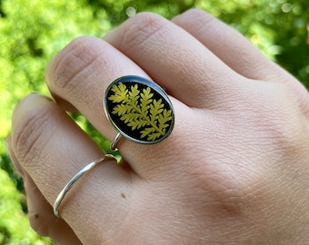 Verstellbarer ovaler Ring aus silbernem Edelstahl. Enthält ein getrocknetes Mini-Farnblatt. Botanischer Schmuck. Echter getrockneter Farn.