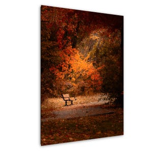 Autumn Park Bench Photography Print: Golden Fall Foliage Wall Art
