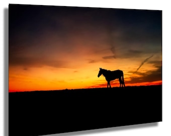 Pferd Silhouette Sonnenuntergang Fotodruck: Western Cowboy Dekor
