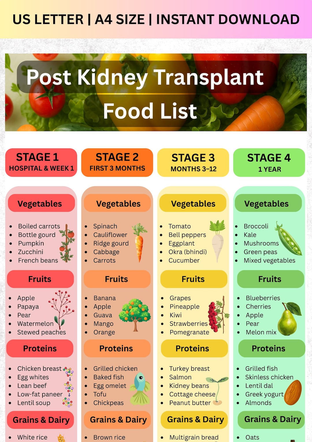 Kidney Transplant Diet Guide | 4-stage Recovery, Meal Planner (PDF ...