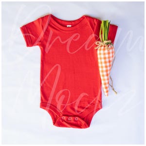 May include: A red baby bodysuit with short sleeves and three poppers at the bottom. A decorative carrot with an orange and white gingham pattern is placed next to the bodysuit. The carrot has green fabric for the leaves.